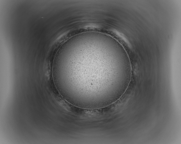 X0000113041015200909031307