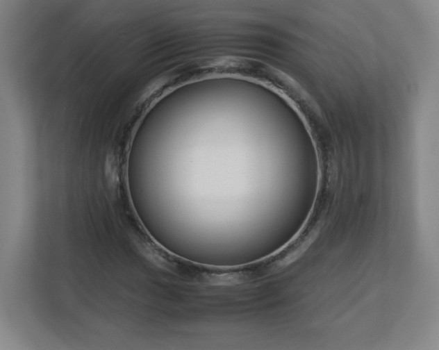 X0000113041017200909031307