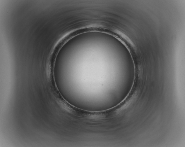 X0000113041021200909031307