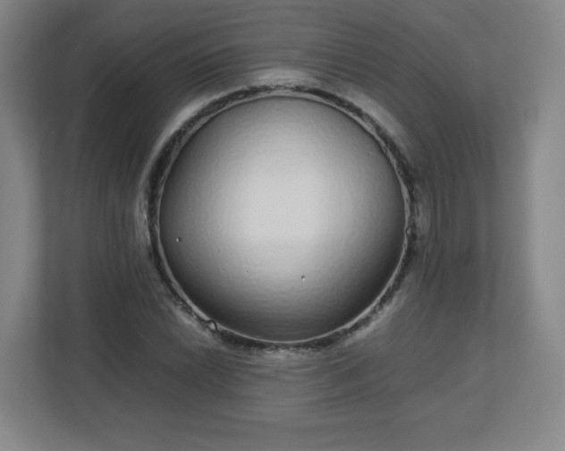 X0000113041022200909031307