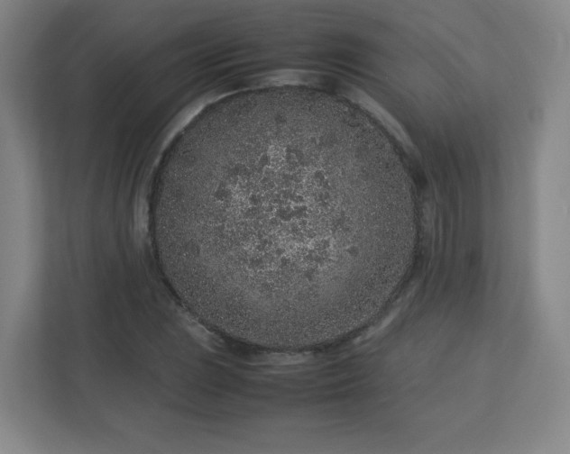 X0000113041023200909031307