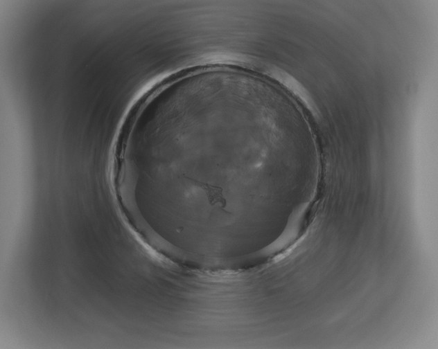 X0000113041024200909031307