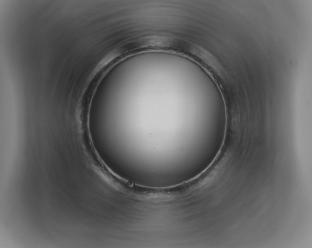 X0000113041026200909031307