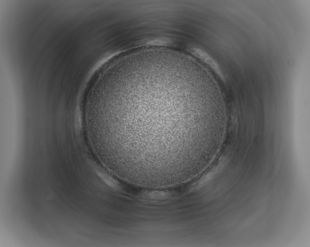 X0000113041027200909031307