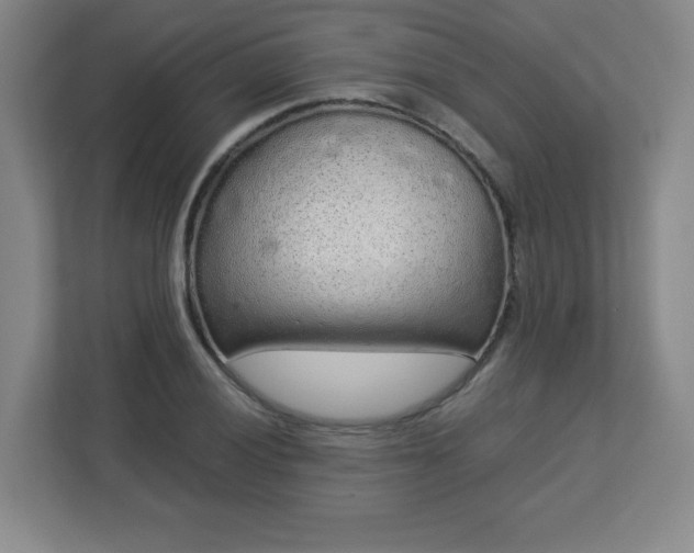 X0000113041028200909031308