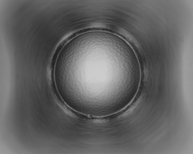 X0000113041029200909031308