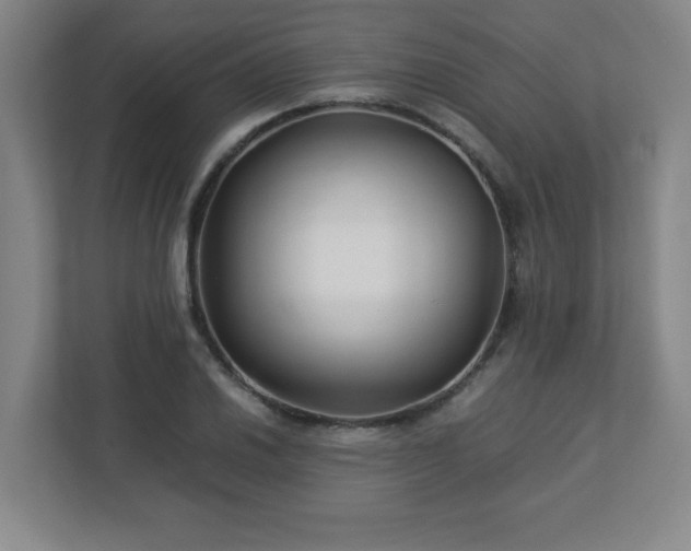 X0000113041030200909031308