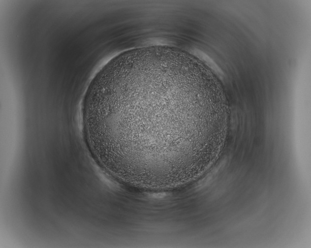 X0000113041031200909031308