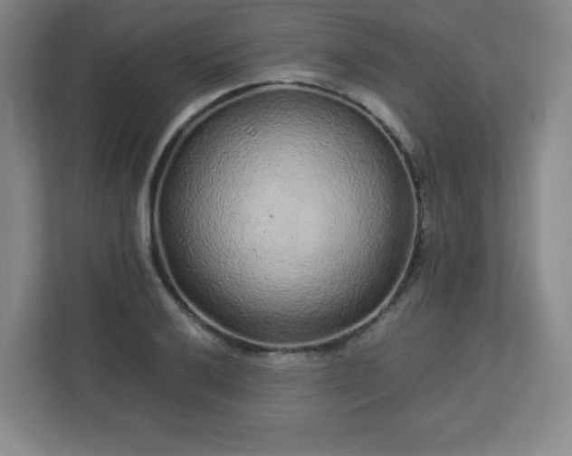 X0000113041032200909031308