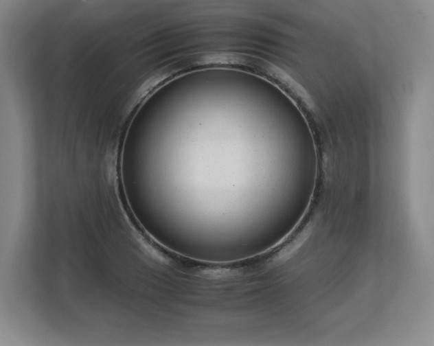 X0000113041033200909031308