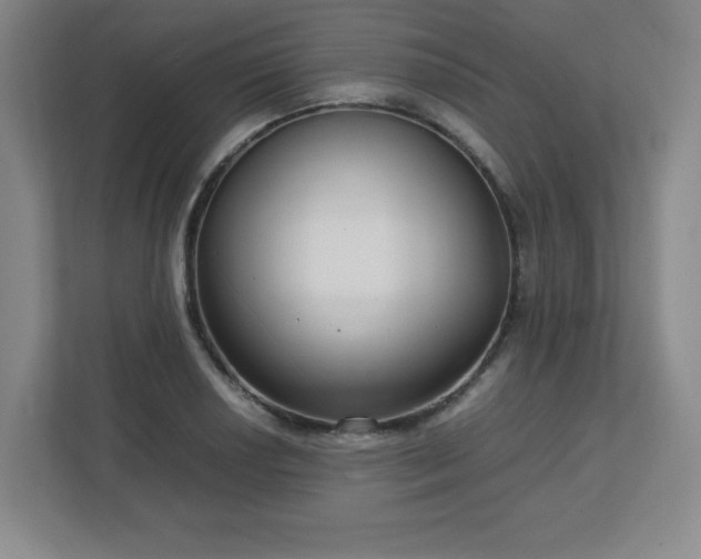 X0000113041034200909031308