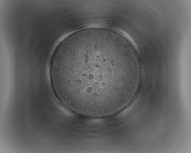 X0000113041035200909031308