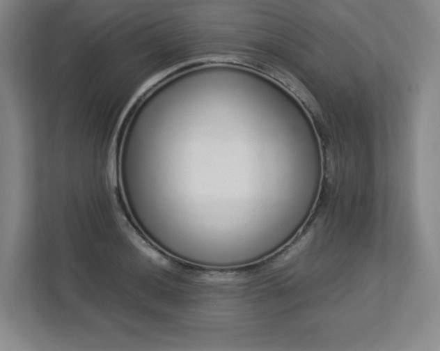 X0000113041036200909031308