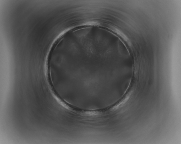 X0000113041037200909031308