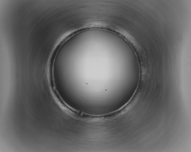 X0000113041038200909031308