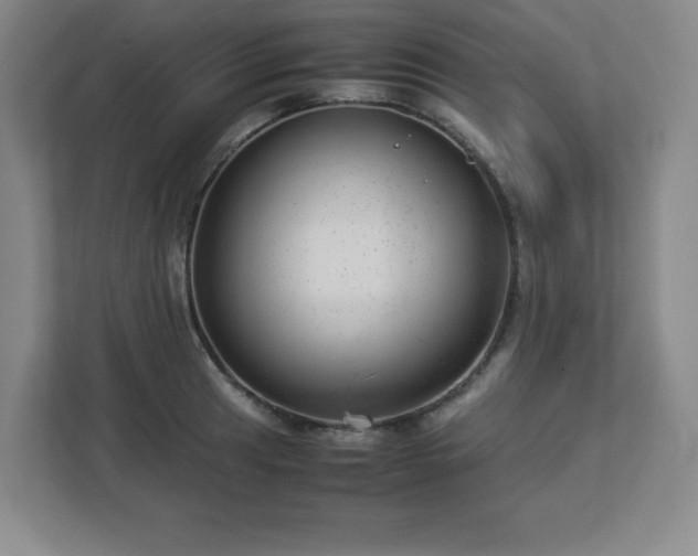 X0000113041041200909031308