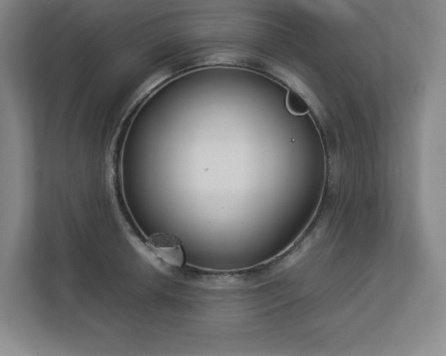 X0000113041042200909031308