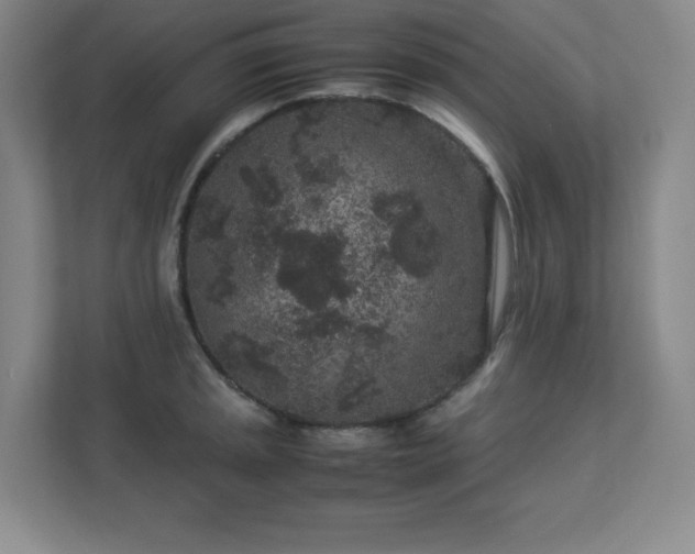 X0000113041045200909031308