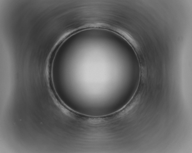 X0000113041046200909031308