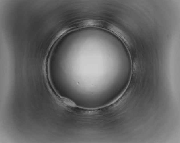 X0000113041047200909031308