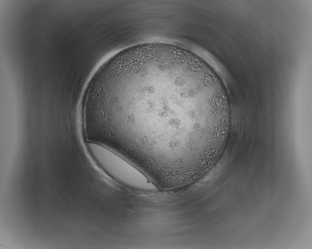 X0000113041048200909031308