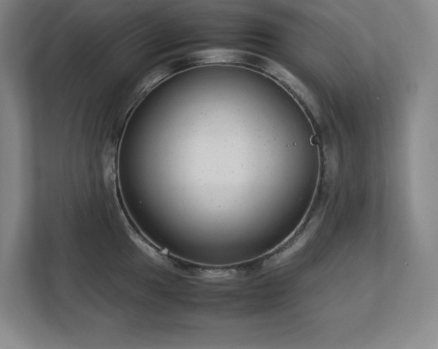 X0000113041049200909031308