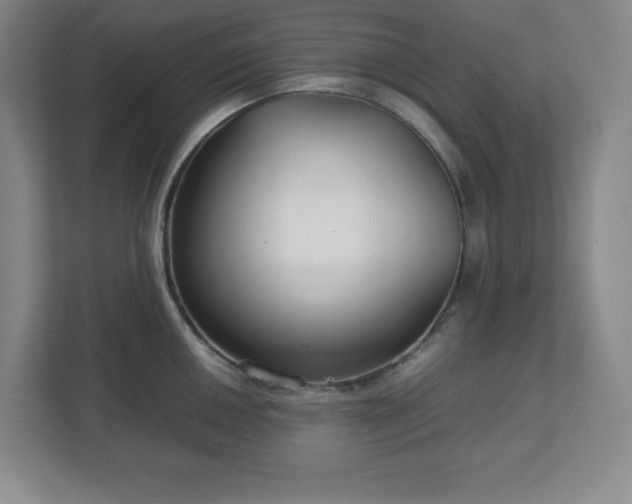 X0000113041050200909031308