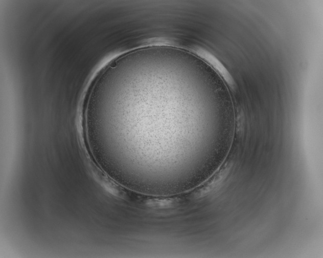 X0000113041051200909031308