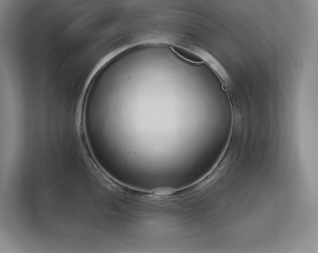 X0000113041052200909031308