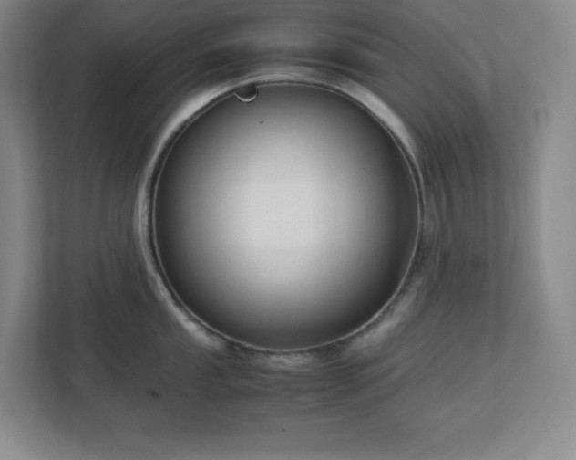 X0000113041053200909031308