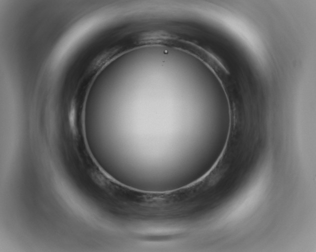 X0000113041054200909031308