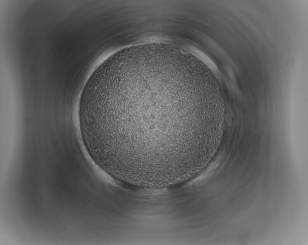 X0000113041055200909031308