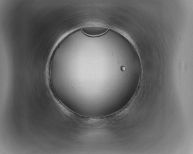 X0000113041056200909031308