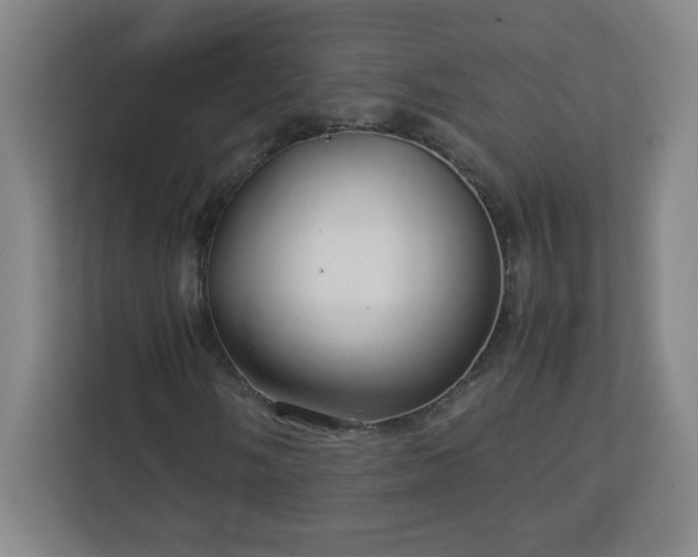 X0000113041058200909031307