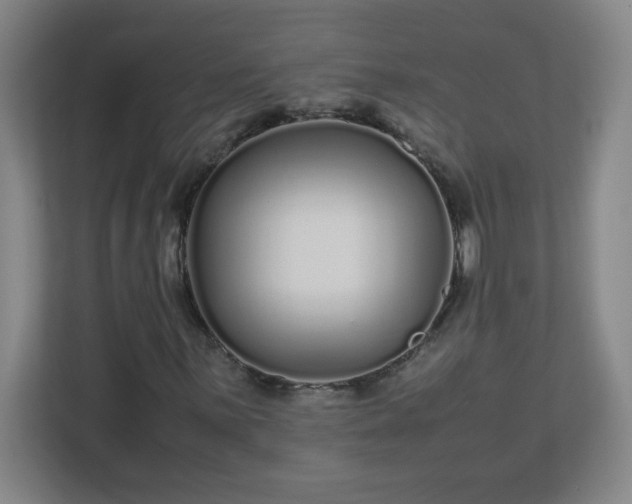 X0000113041059200909031307