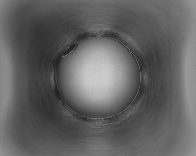 X0000113041060200909031307