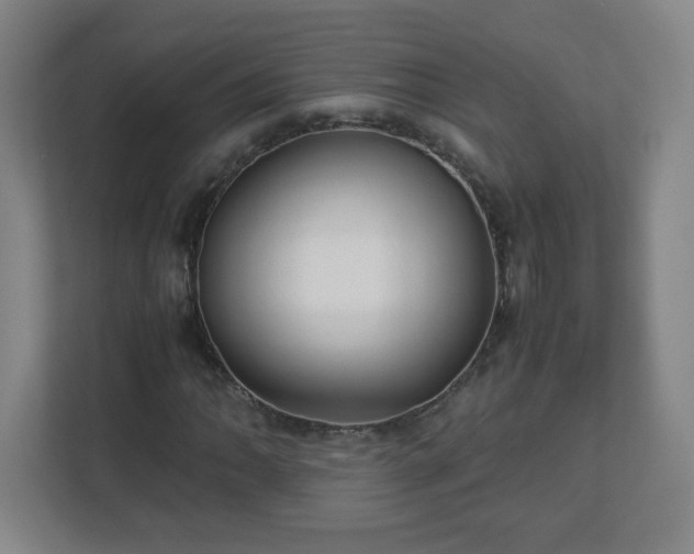 X0000113041062200909031307