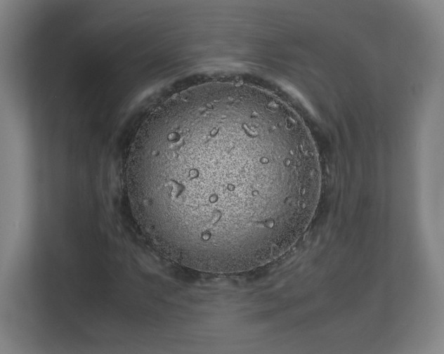 X0000113041063200909031307