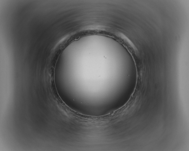 X0000113041064200909031307