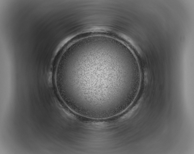 X0000113041066200909031307