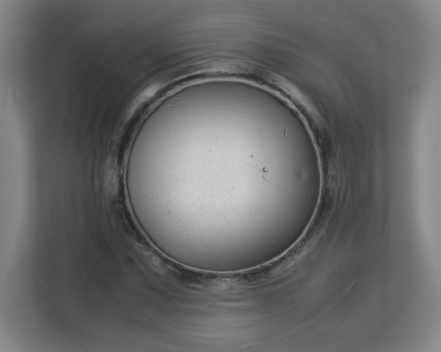 X0000113041067200909031307