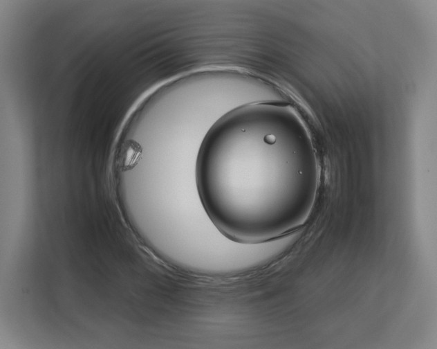 X0000113041068200909031307