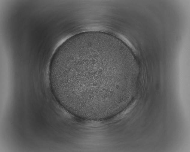 X0000113041071200909031307