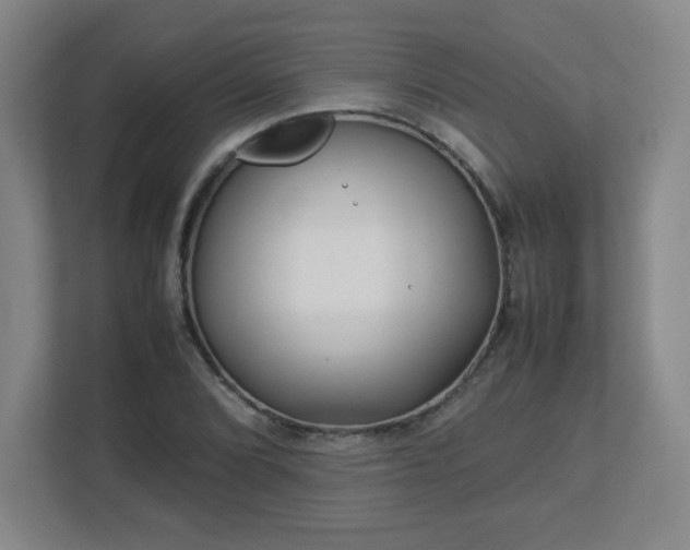 X0000113041072200909031307