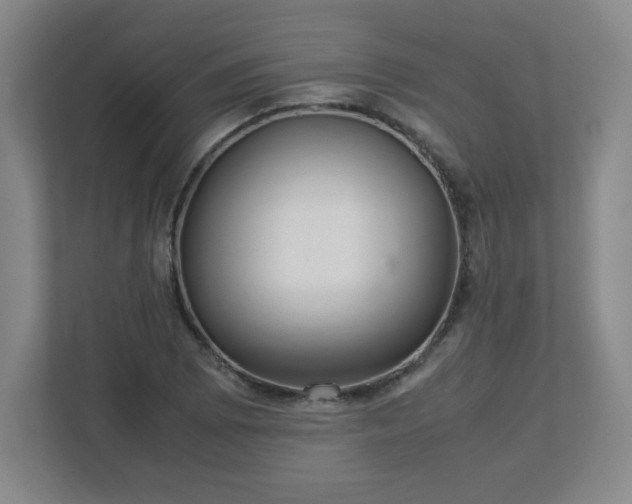 X0000113041073200909031307