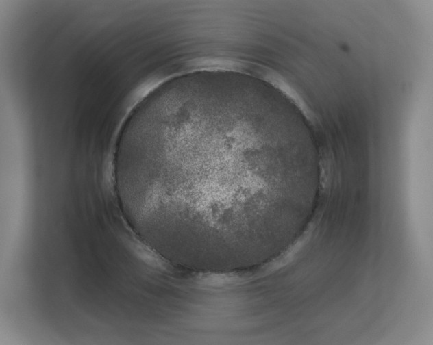 X0000113041074200909031307