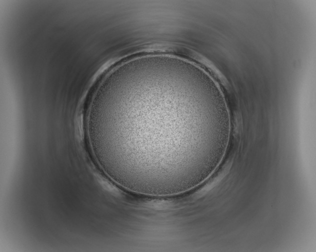 X0000113041075200909031307