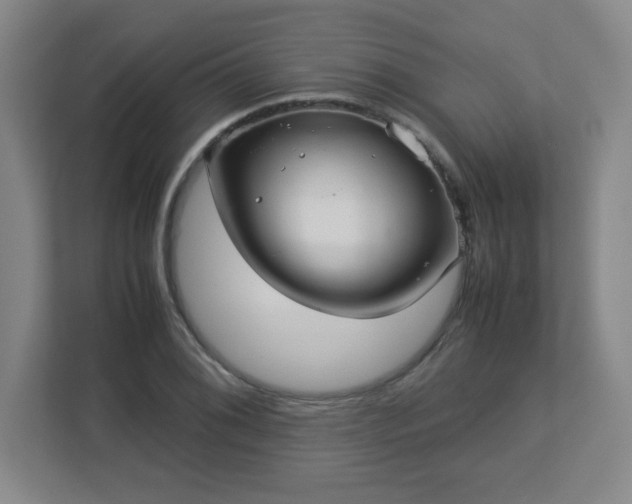 X0000113041076200909031307