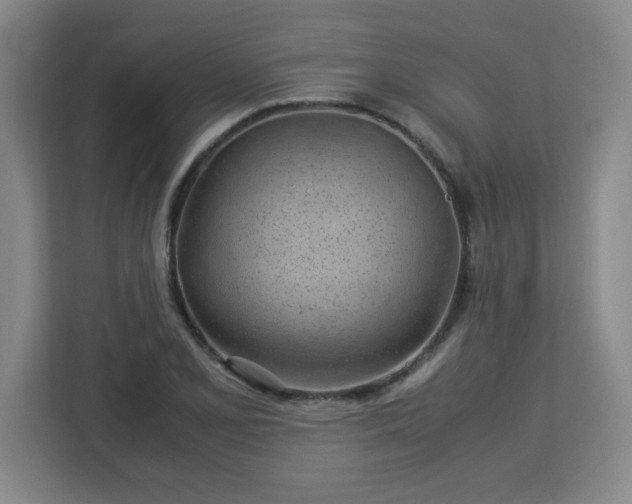 X0000113041077200909031307