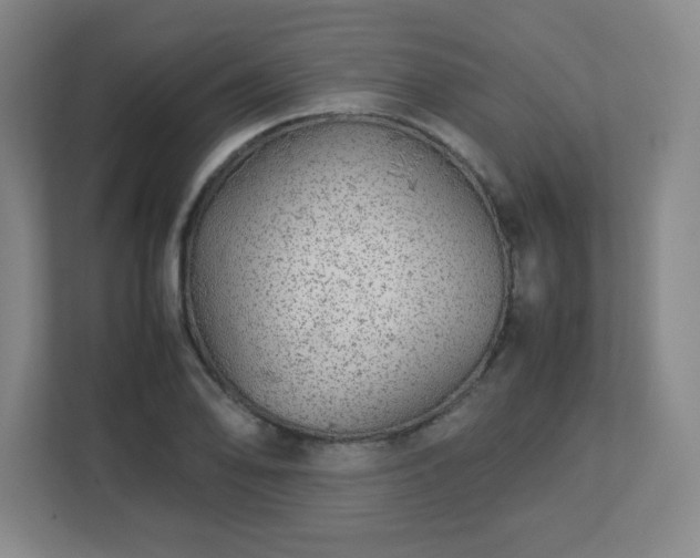 X0000113041078200909031307